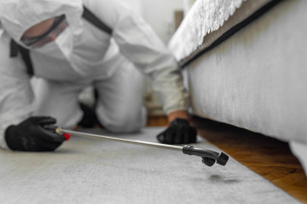 Professional Ant Control technician working in Rio, WI